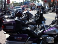 FL Trip_3-2018 (138)